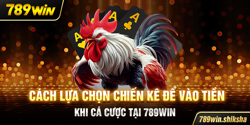 Cách lựa chọn chiến kê để vào tiền khi cá cược tại 789win