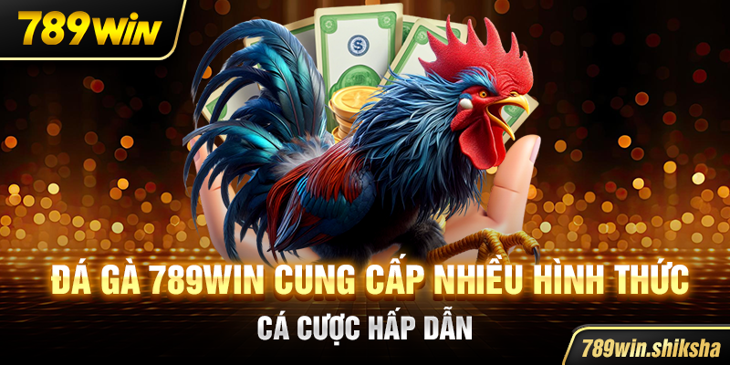 Đá gà 789win cung cấp nhiều hình thức cá cược hấp dẫn