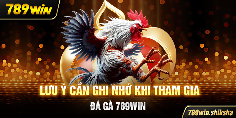 Lưu ý cần ghi nhớ khi tham gia đá gà 789win