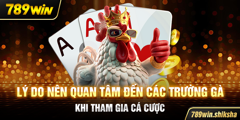 Lý do nên quan tâm đến các trường gà khi tham gia cá cược
